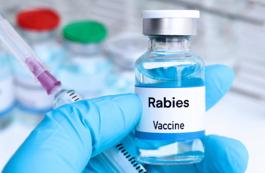 How Rabies Vaccinations Help Prevent Dangerous Diseases in Pets