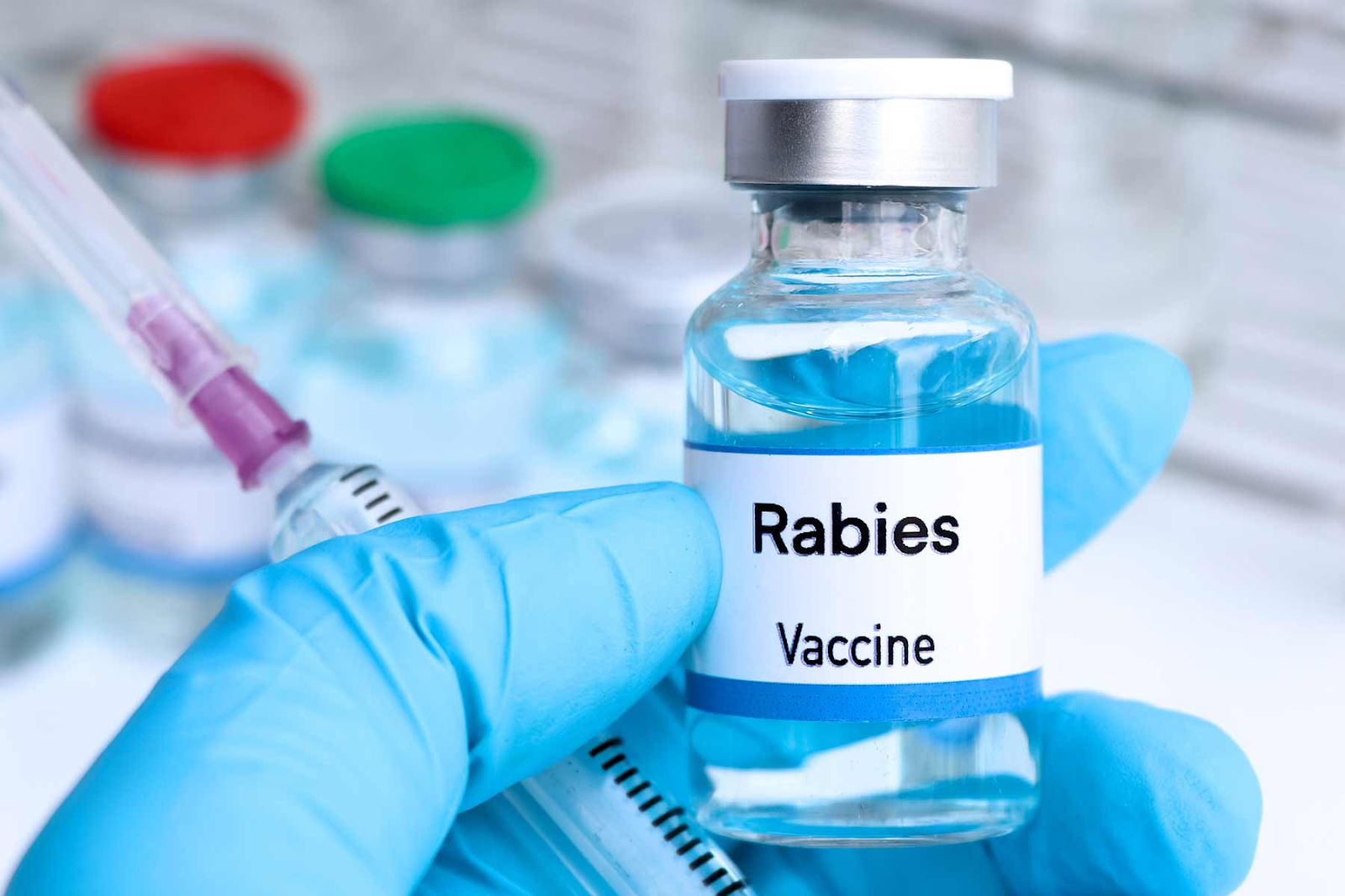 How Rabies Vaccinations Help Prevent Dangerous Diseases in Pets