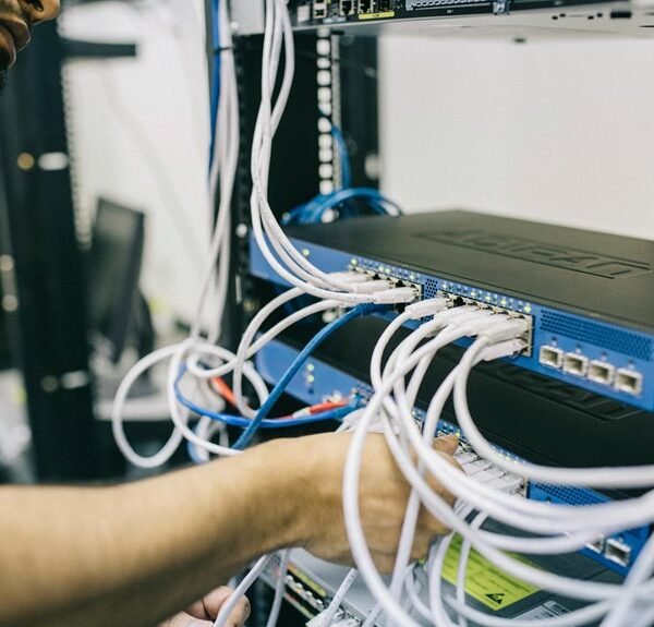 Professional Web Network 225438777 for Efficiency