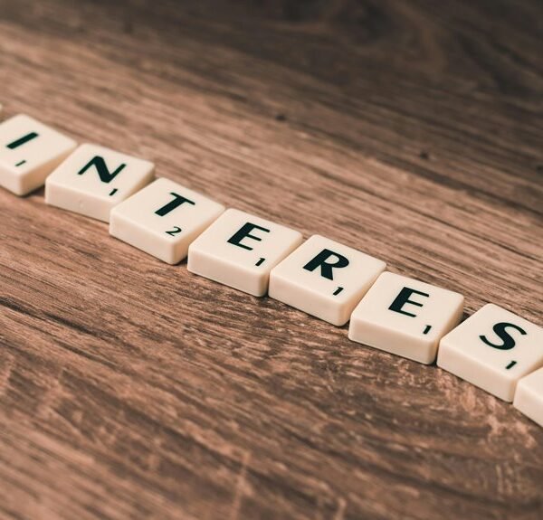 professional web platform efficient