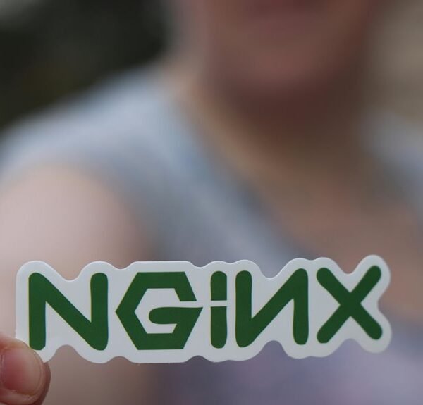 professional web system for efficiency