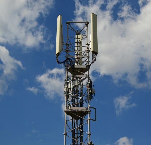 reliable digital network for businesses