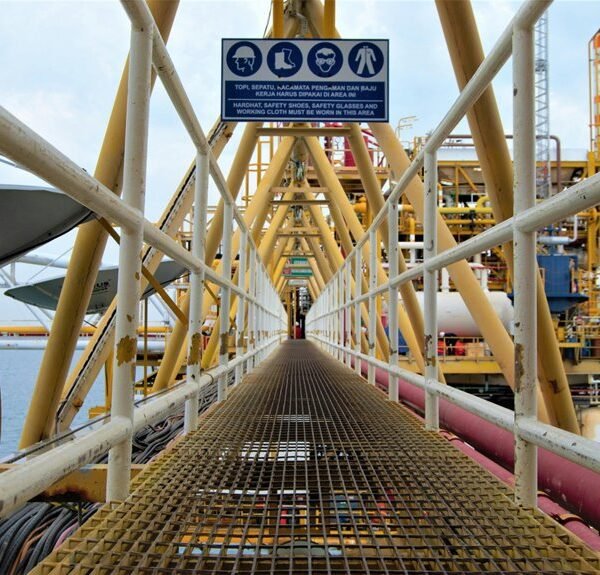 smart online platform growth