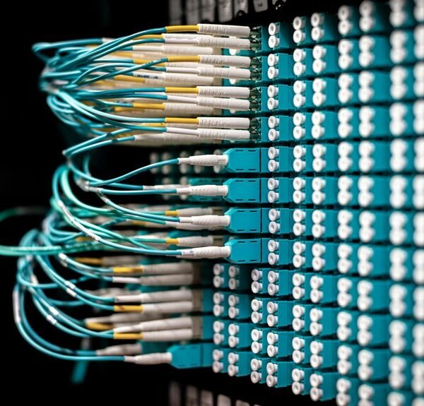 Smart Web Network 277288656 for Growth