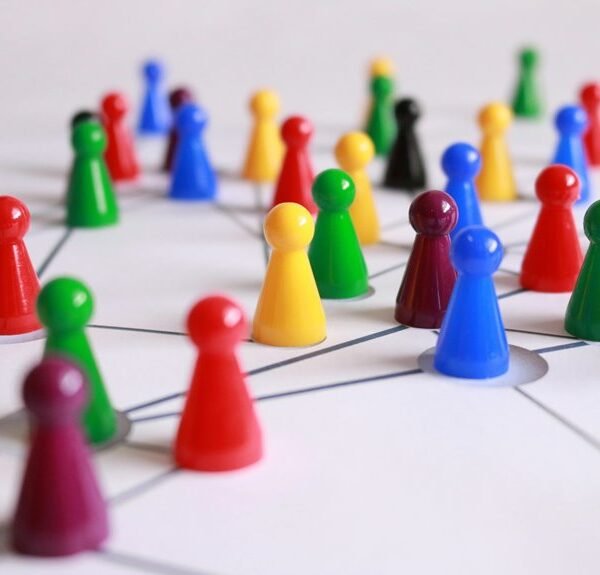 Smart Web Network 981404168 for Growth